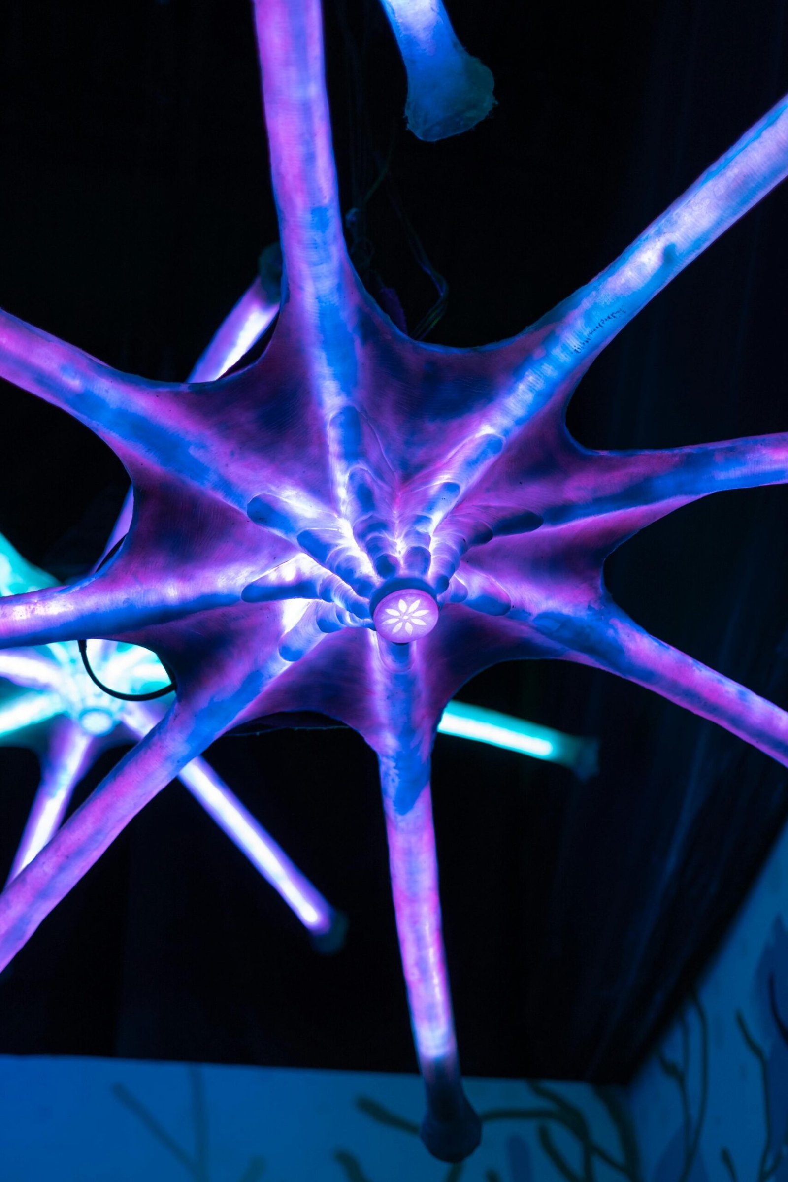 Close-up of a purple starfish with glowing tentacles in an underwater setting, captured in bright lighting.